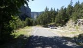 Randonnée Marche Châtillon-en-Diois - La Montagnette par le Pas de la Plane (Combau) - Photo 2