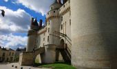 Tour Wandern Langeais - Langeais - PR Saint-Michel-sur-Loire - 20.8km 325m 5h10 (30mn) - 2023 04 15 - Photo 2