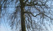 Tocht Te voet Heers - Heks Gele zeshoek - Photo 8