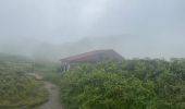 Randonnée Marche L'Ajoupa-Bouillon - Montagne pelée  - Photo 6