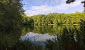 Randonnée Marche Clamart - Tour des etangs - Bois de Clamart et de Meudon - Photo 3