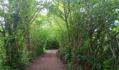 Randonnée Marche Theux - lareid . vertbuisson . haut marais . fraineux . la reid  - Photo 18