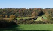 Excursión Senderismo Beauraing - ADEPS à Pondrome - Photo 13