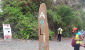 Tocht Stappen Le Marin - Cap Macré -Macabou par les mornes  - Photo 18