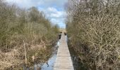 Trail Walking Diksmuide - Blankaart 24 km - Photo 18