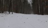 Trail On foot Michendorf - Balken grün Caputh - Lienewitzseen - Photo 2