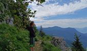 Tocht Stappen Saint-Martin-en-Vercors - Pas st Martin - Photo 11