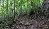 Randonnée Marche Neupré - contreforts de la boucle de l’ourthe - Photo 7