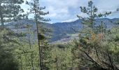 Tour Wandern Jarjayes - VALSAIRES CHAPELLE NOTRE DAME DU LAIS - Photo 12