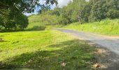 Trail Walking Sainte-Anne - Grand fonds  - Photo 1