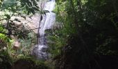 Tocht Stappen Le Prêcheur - Cascade Couleuvre - Photo 10