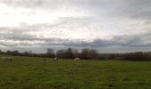 Randonnée Marche Sprimont - banneux . adzeux . grand pierreux . banneux / marche adeps 10 km  - Photo 11
