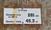 Randonnée Marche Stavelot - 20220711 - Francorchamps 7.1 Km - Photo 4