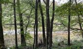 Randonnée Marche Martelange - Dans l’intimité d’une forêt  - Photo 17