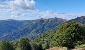 Trail Walking La Bresse - pied du Hohneck - le Kastelbeck - Photo 4