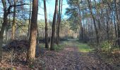 Trail Walking Herentals - Herentals 24,7 km - Photo 14