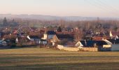 Randonnée Marche Véron - Veron 250114 - Photo 1