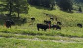 Tocht Noords wandelen Arbaz - Dorbon - Photo 2