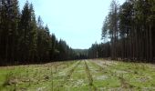 Tour Wandern Martelingen - Forêt d'Anlier - Le Gros Hêtre - Photo 4