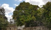 Excursión Senderismo Κοινότητα Μορονίου - Balade à Panagia (Rother n°45) - Photo 3