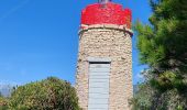 Tour Wandern Patrimonio - sentier du littoral de St Florent à Punta di Saeta - Photo 5