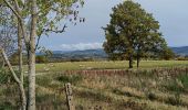 Tour Wandern Saulcy-sur-Meurthe - après JP et mat. - Photo 1