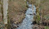 Trail Walking Gedinne - Croix Scaille 250222 - Photo 3