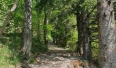 Trail Walking Albese con Cassano - Monte bolettone - Photo 11