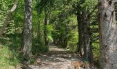 Tocht Stappen Albese con Cassano - Monte bolettone - Photo 11