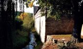 Tour Zu Fuß Wetterzeube - Rundweg Breitenbacher Forst - Photo 1