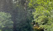 Randonnée Marche Thiéfosse - Gorges de crosery  - Photo 7