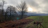 Tocht Stappen La Roche-en-Ardenne - Chèque - Photo 8