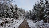 Randonnée Marche Stavelot - Francorchamp  (Neuville) - Photo 7