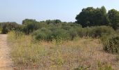 Trail Walking Leucate - mon sentier des pêcheurs via chateau - Photo 14