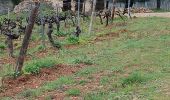 Trail Walking Flayosc - reconnaissance berne circuit jaune  - Photo 8