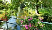 Tocht Stappen Moncontour - VIENNE / LA SENTE DIVINE: SAINT CHARTRES - LA GRIMAUDIERE - Photo 13