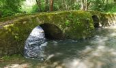 Trail Walking Saint-Cyr-sur-Loire - 2019.06.06-8.8km-La Membrolle sur Choisille-Saint Cyr - Photo 3