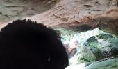 Percorso Marcia Janville-sur-Juine - grotte gillevoisin Sp - Photo 2