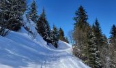 Tour Skiwanderen Nancy-sur-Cluses - 280225 Pointe de la Sallaz - Photo 2