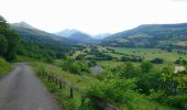 Trail Walking Dienne - Cantal - Dienne - Drils et Laqueille - 7.2km 205m 2h50 - 2019 07 05 - Photo 5