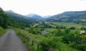 Tocht Stappen Dienne - Cantal - Dienne - Drils et Laqueille - 7.2km 205m 2h50 - 2019 07 05 - Photo 5