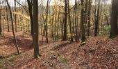 Tocht Stappen Profondeville - Les Bois de Lustin  - Photo 5