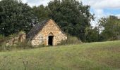 Tour Wandern Castelnaud-la-Chapelle - Périgord j2 Castelnaud - Photo 12