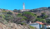 Percorso Marcia Port-Vendres - paullile - Cap bear via la mer retour via les vignes  - Photo 13