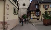 Tour Wandern Rappoltsweiler - Alsace 4 - Photo 2