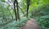 Trail Walking Durbuy - Bomal-Comblain au Pont/Rivage 33 km - Photo 18