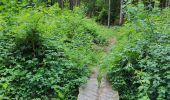 Trail Walking Chimay - Scourmont 070623 - Photo 3