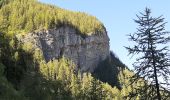 Trail Walking Seyne - SEYNES LES ALPES . Grand puy , montagne de la Blache , cabane du Mulet o l s - Photo 3