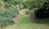 Randonnée Marche Fréteval - Fréteval - Etang Champs Bois Donjon - Photo 11