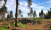 Tocht Te voet Liberec - [Z] Machnín - Výpřež - Photo 3